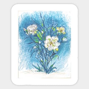 Carnation Flowers color pencil Sticker